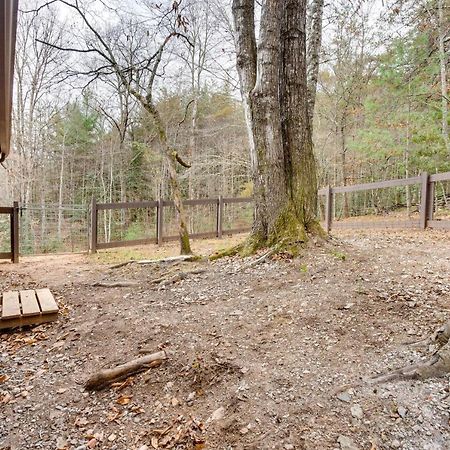 Brasstown Peaceful Warne Cabin Fenced Yard And Screened Porch מראה חיצוני תמונה